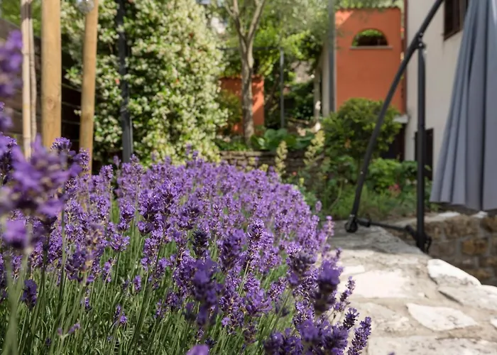 Seaside Parenzana Comfort With Free Parking