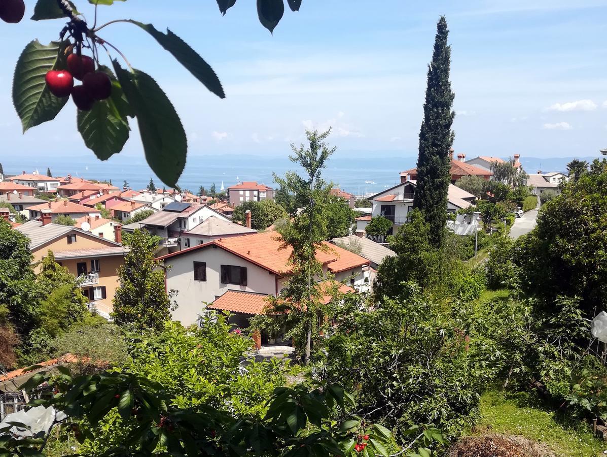 Seaside Parenzana Comfort With Free Parking Appartamento